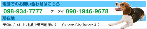 Cyɂ₢킹 098-934-7777 P[^C090-1946-9678@ݒnF904-2141@ꌧsr4-7-1@Okinawa City Ikehara 4-7-1