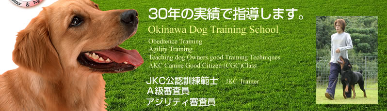 30N̎тŎw܂BOkinawa Dog Training School(hbOg[jOXN[),Obedience Training,Agility Training,Teaching dog Owners good Training Techniques,AKC Canine Good Citizen (CGC)Class,JKCFP͎m,JKC Trainer,`R,AWeBR