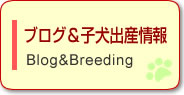 uOqoY(Blog&Breeding)