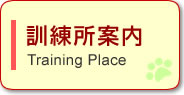 PЉ(Training Place)