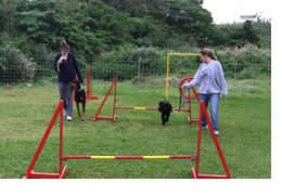 EAWeB Agility Training