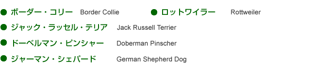 E{[_[ER[ Border Collie,EbgC[ Rottweiler,EWbNEbZEeA Jack Russell Terrier,Eh[x}EsV[ Doberman Pinscher,EW[}EVFp[h German Shepherd Dog